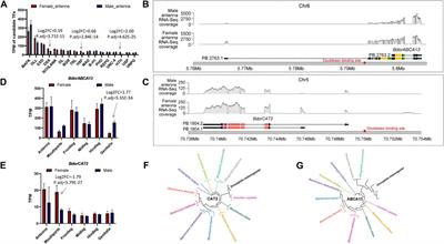 Identification of antennal alternative splicing by combining genome and full-length transcriptome analysis in Bactrocera dorsalis
